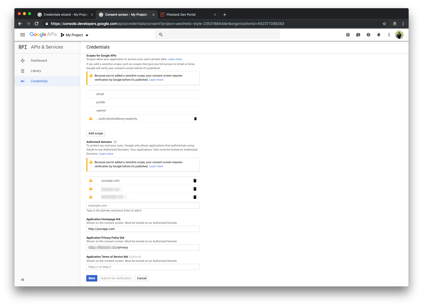 Screenshot showing domain configuration fot the consent screen