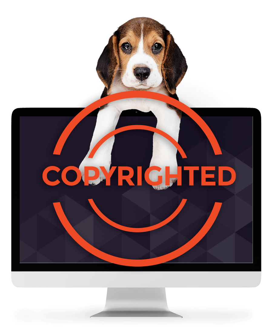 Filestack copyright