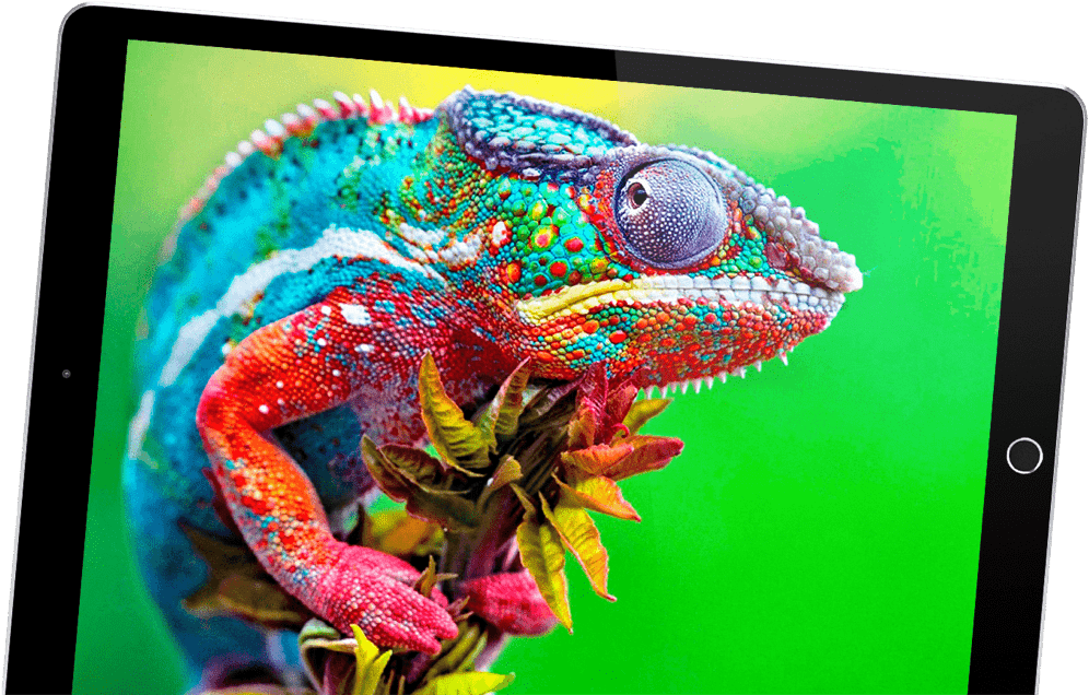 The Chameleon photo on the tablet