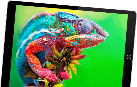 A colorful chameleon clings to a branch, displayed vividly on a tablet screen with a green background, showcasing the device’s vibrant display quality.